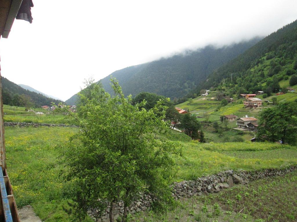 Zeren Pansiyon Kamalac Exterior foto